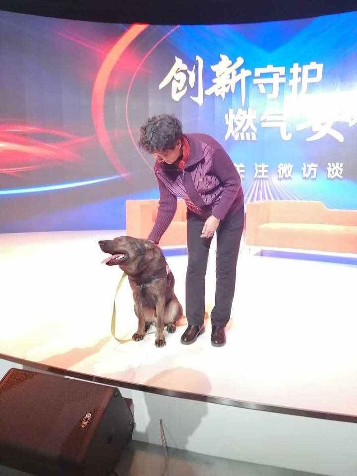 齐鲁晚报网-山东新闻门户 传播品质资讯